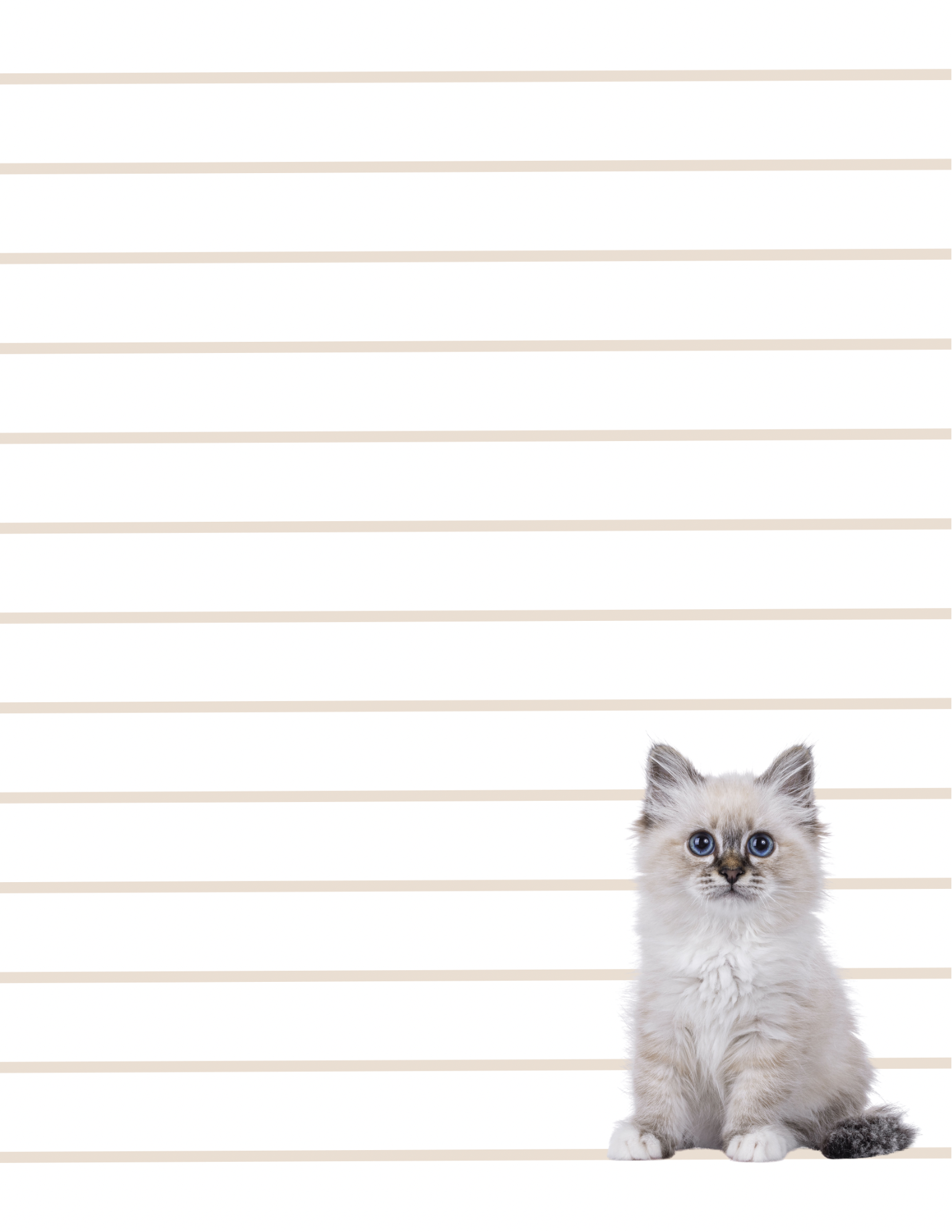 Purrfect Notes - Small Notepad (4 Styles)