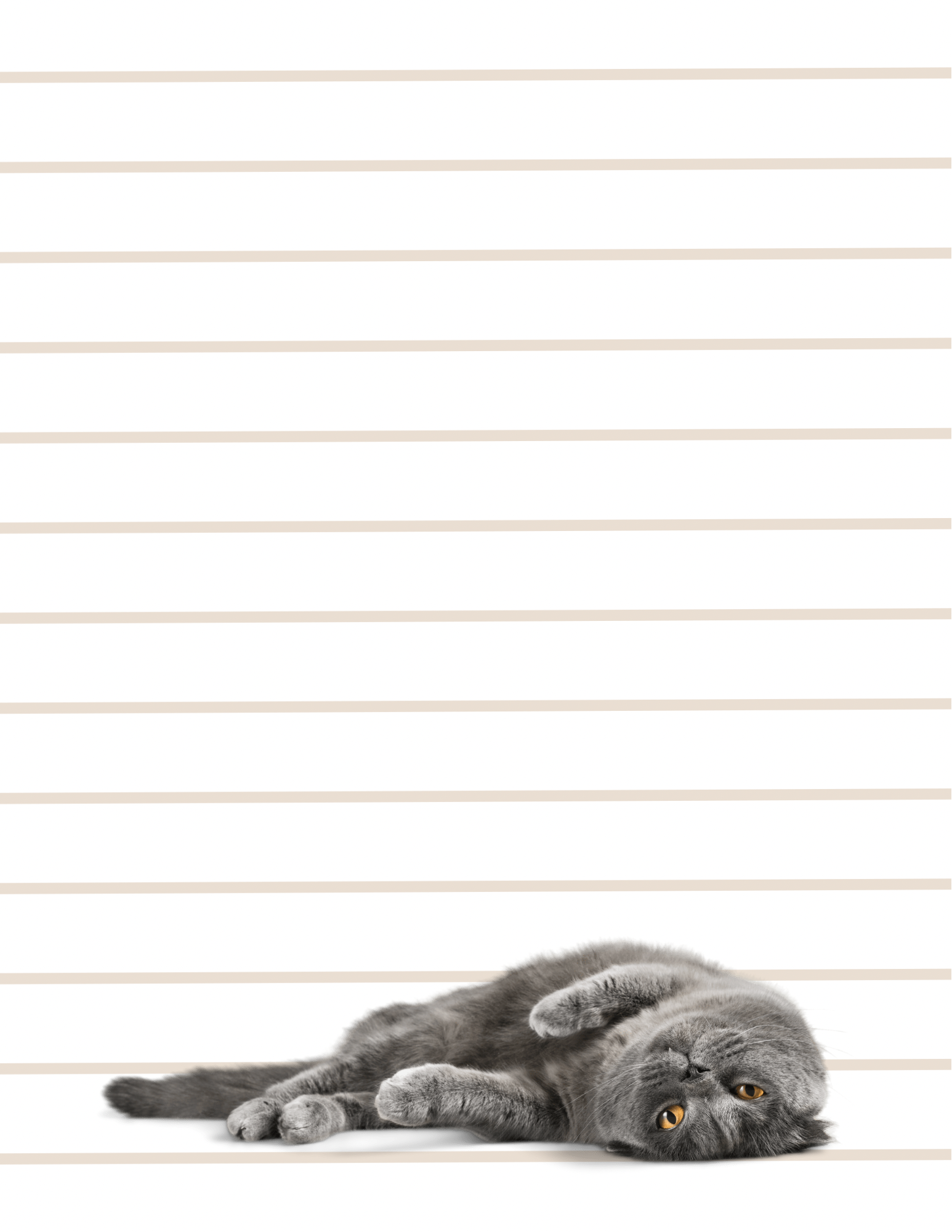 Purrfect Notes - Small Notepad (4 Styles)