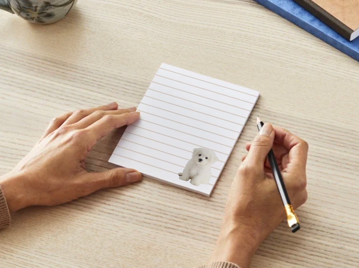 Pawsome Notes - Small Notepad (4 Styles)