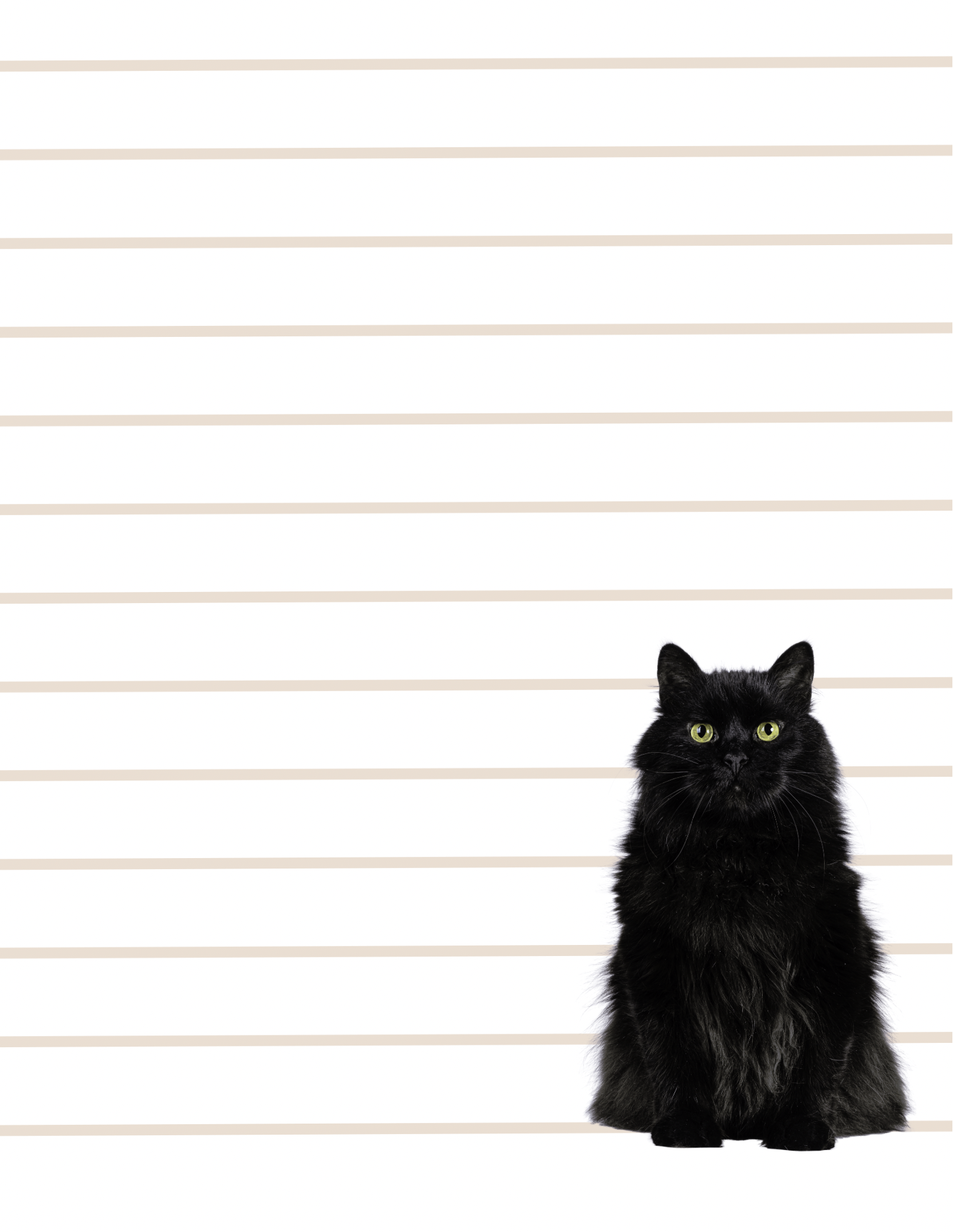 Purrfect Notes - Small Notepad (4 Styles)