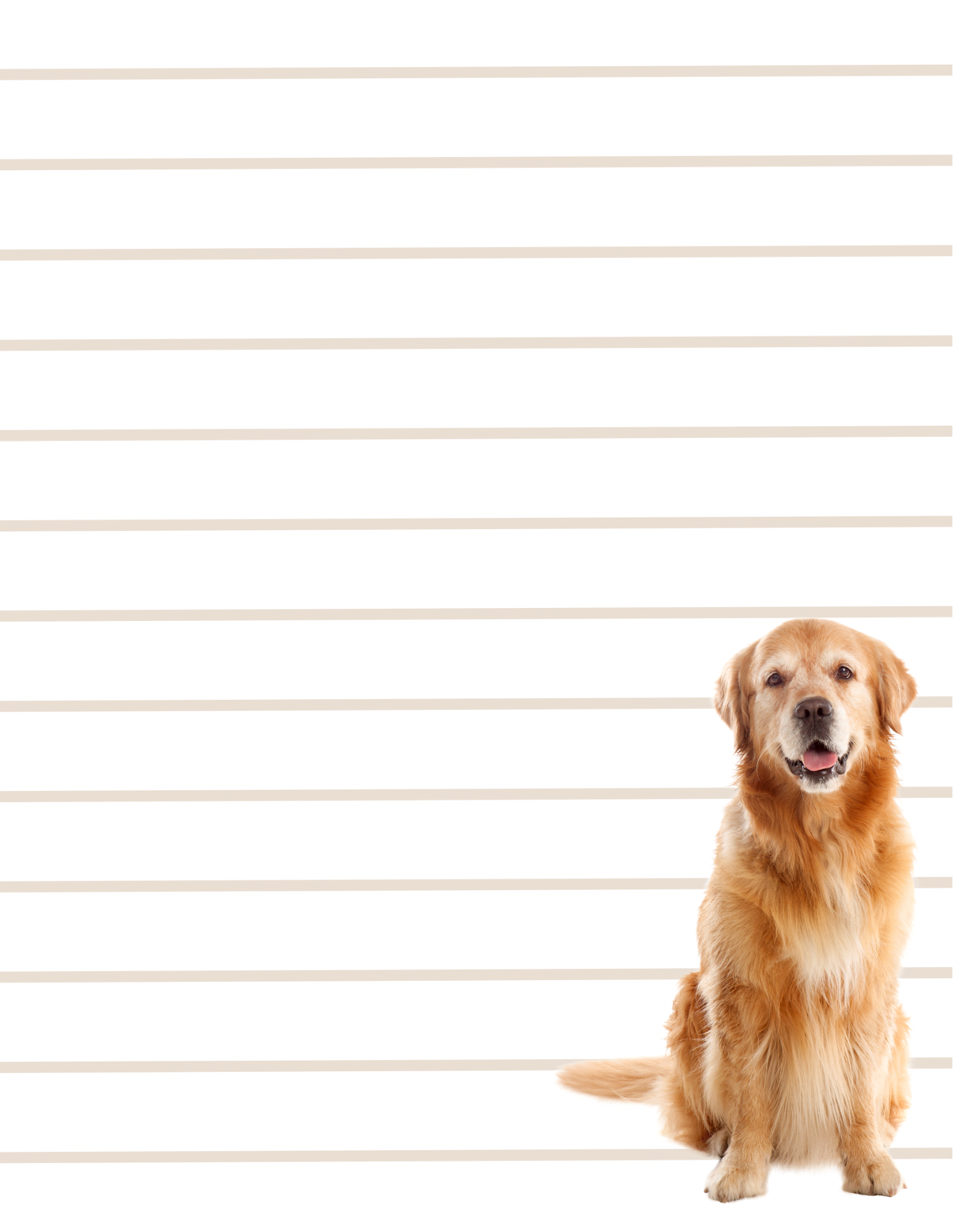 Pawsome Notes - Small Notepad (4 Styles)