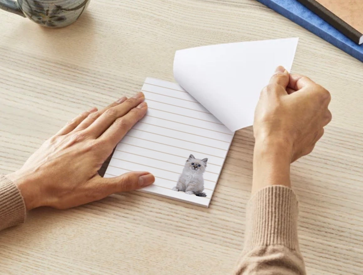 Purrfect Notes - Small Notepad (4 Styles)