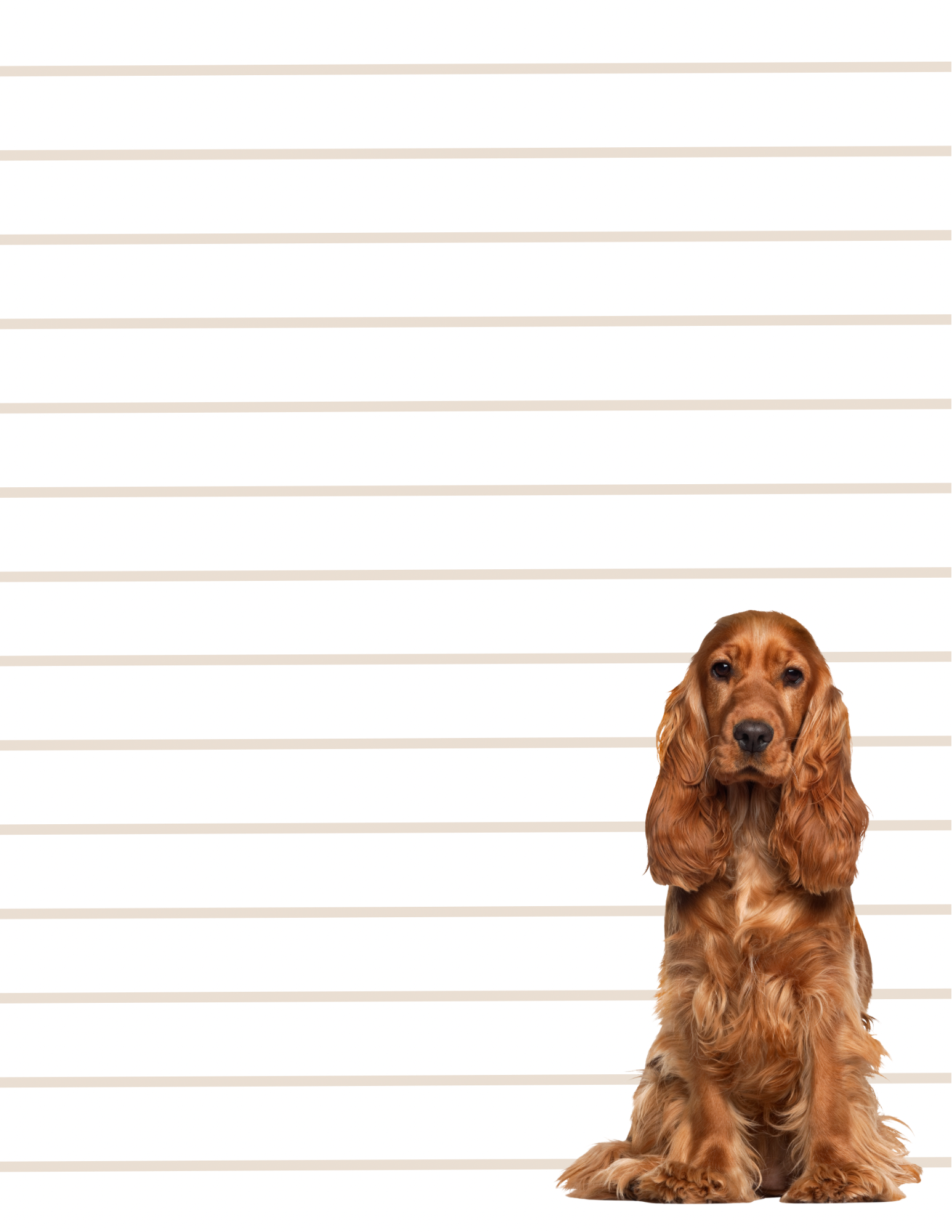 Pawsome Notes - Small Notepad (4 Styles)