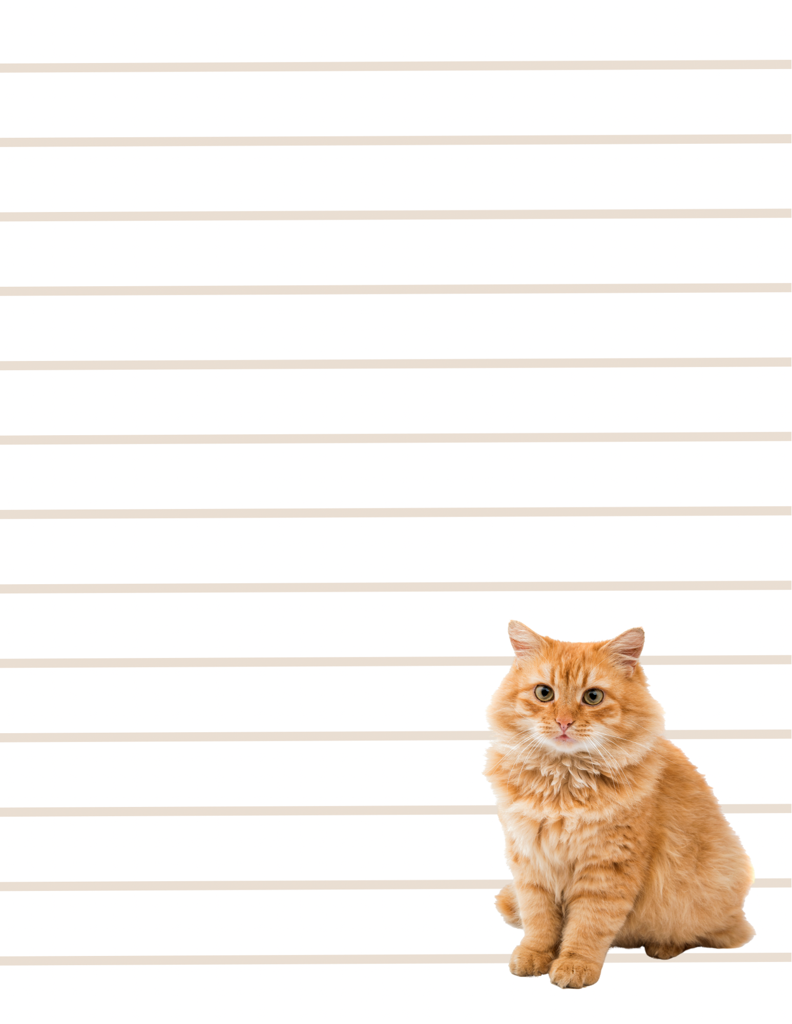 Purrfect Notes - Small Notepad (4 Styles)