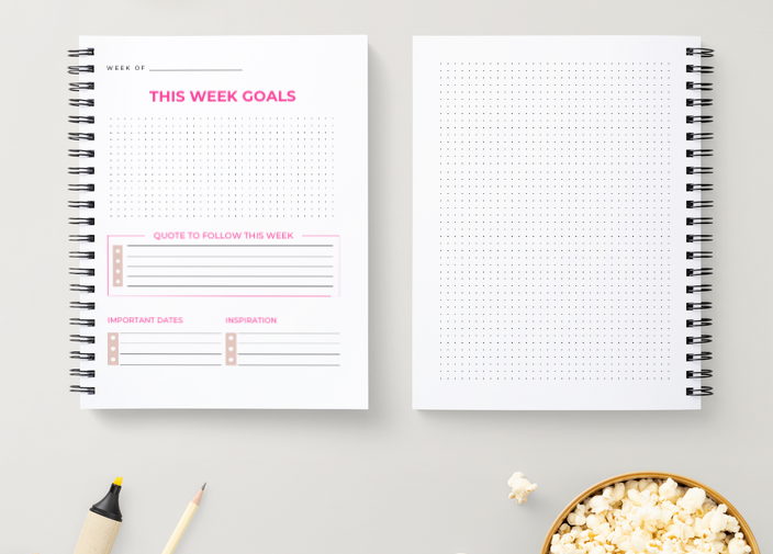 Large Bullet Journal (4 Colors)