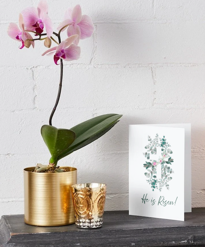 He is Risen Cards Set (10 Cards + Envelopes)