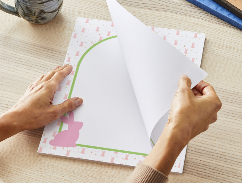 The Bunny Brief (3 Sizes)